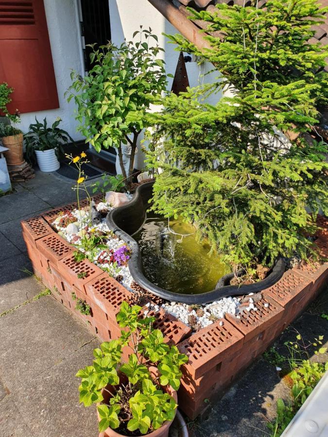 Bnb Haus Weibel 란드콰르트 외부 사진